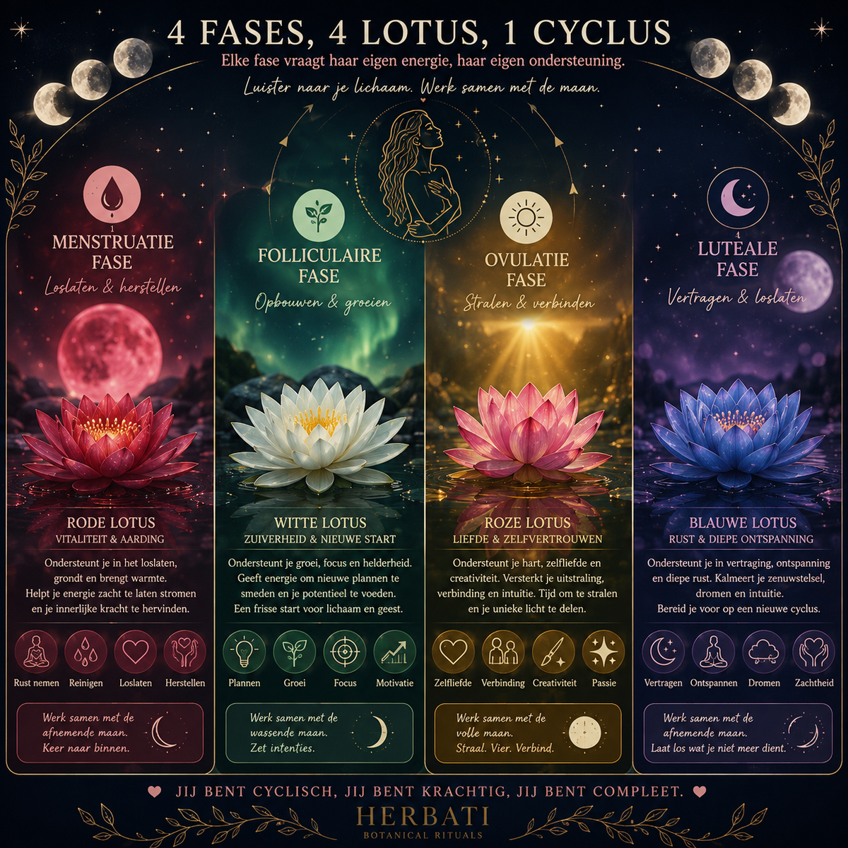 She Is in Bloom – Lotus Discovery Box