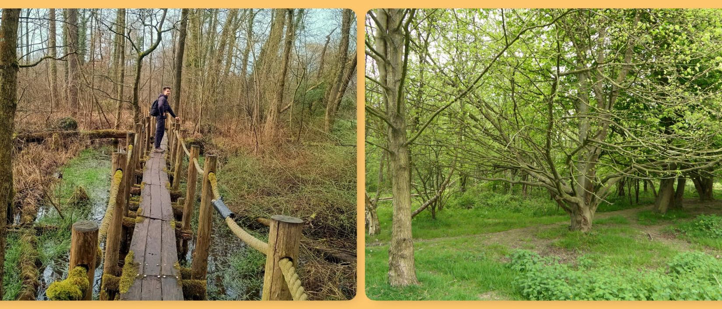 Kruidenwandeling - Vallei van de Serskampse beek