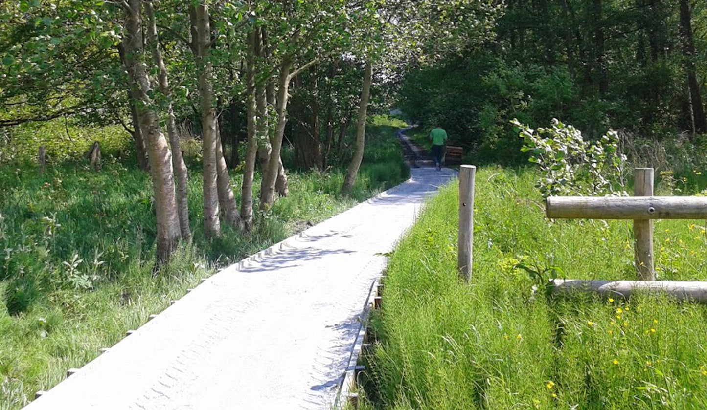 Kruidenwandeling - Vallei van de Serskampse beek