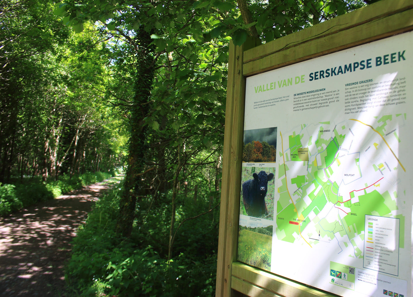 Kruidenwandeling - Vallei van de Serskampse beek