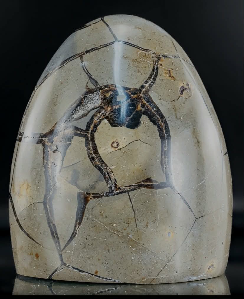 Drakensteen (Septarie) – Uniek stuk XL 1.5 kg