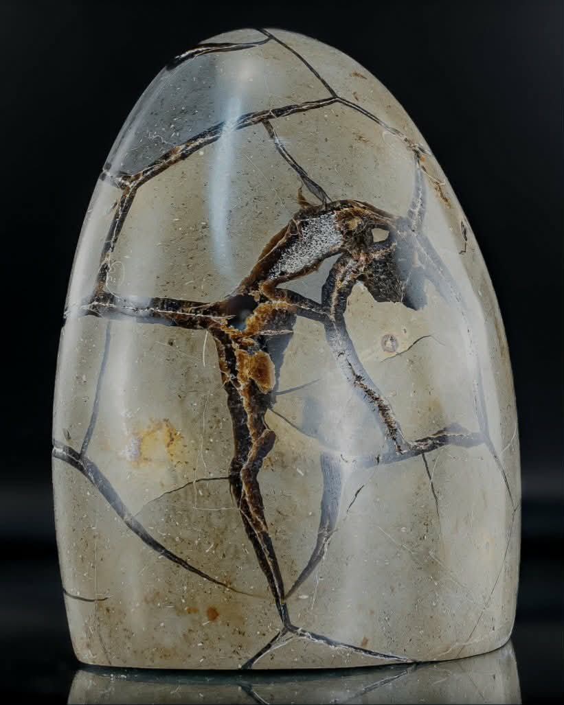 Drakensteen (Septarie) – Uniek stuk XL 1.5 kg